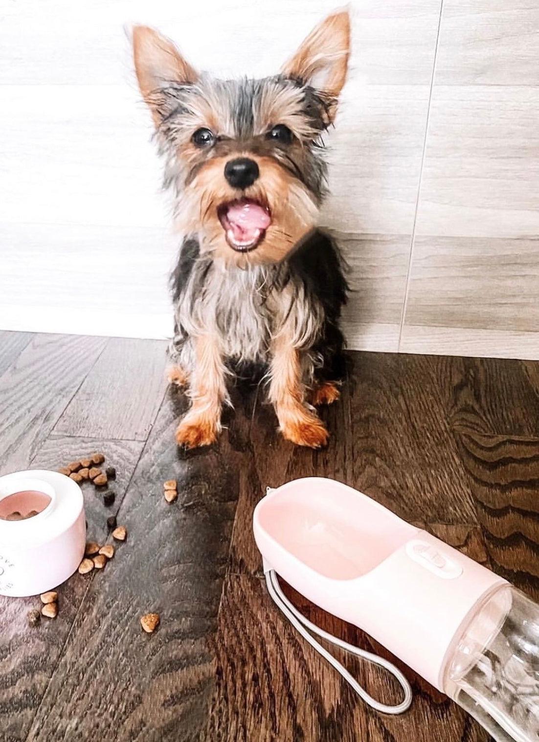 2-in-1-tragbarer Futterautomat für Haustiere – Rosa